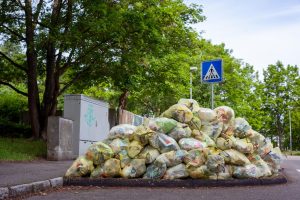 Food loss waste singapore